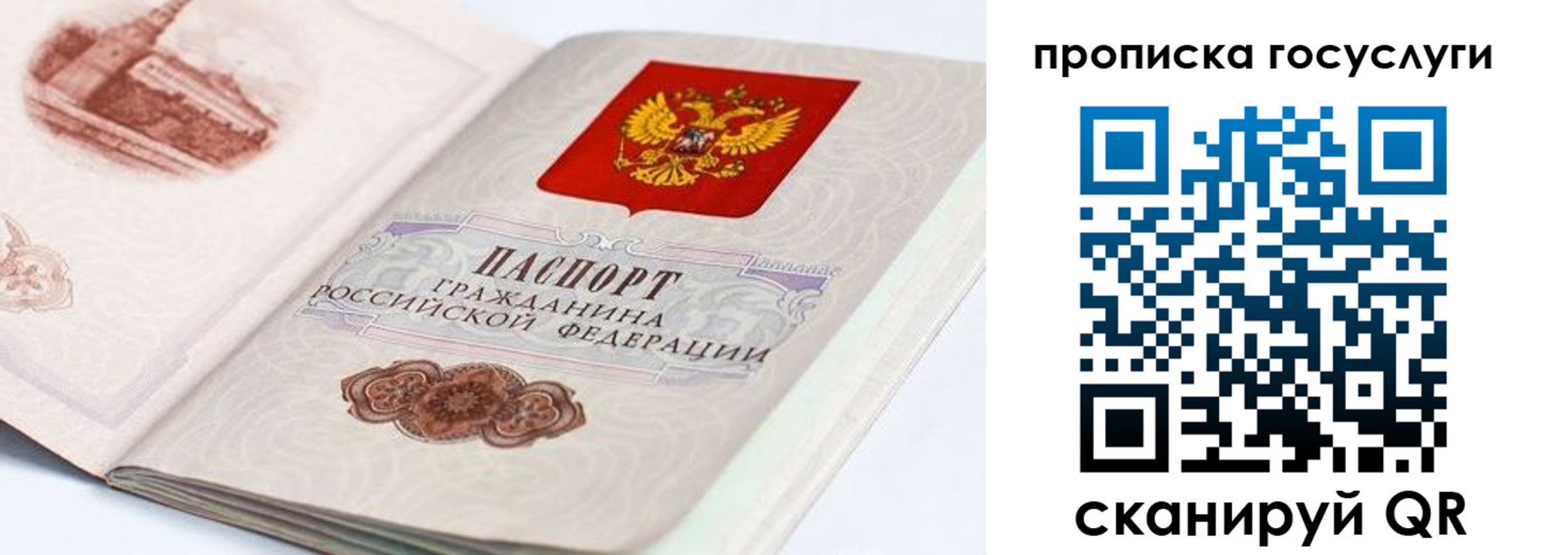прописка гарантия в Протвино